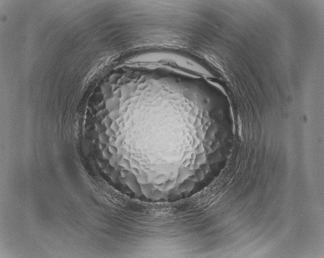 X0000060580495200511241345