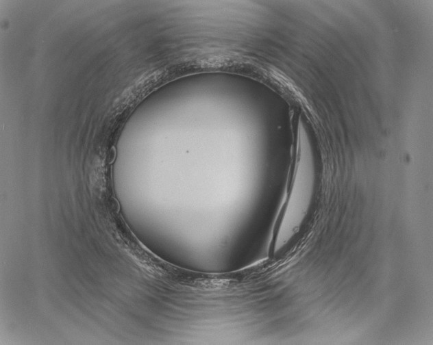 X0000060580497200511241345