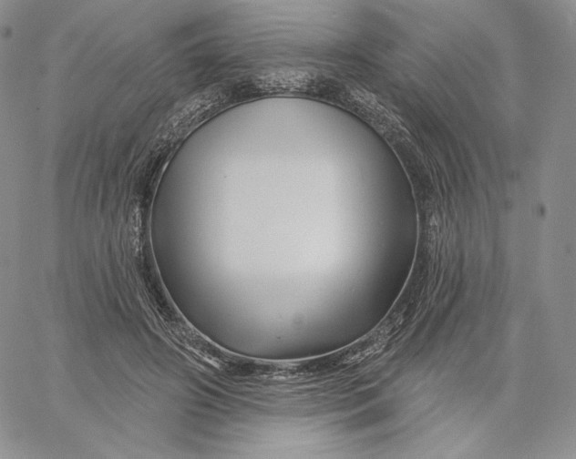 X0000060580498200511241345