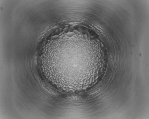 X0000060580499200511241345