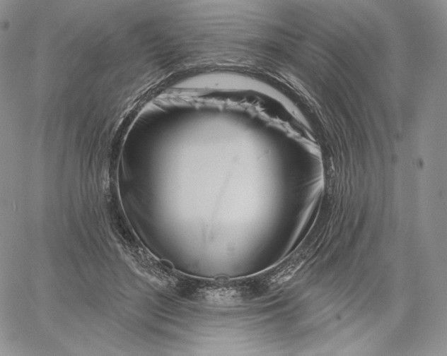 X0000060580500200511241345