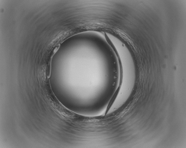 X0000060580501200511241345