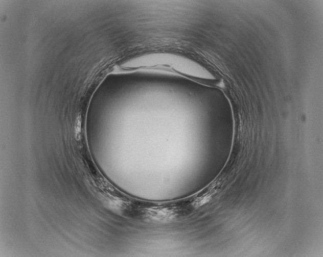 X0000060580502200511241345