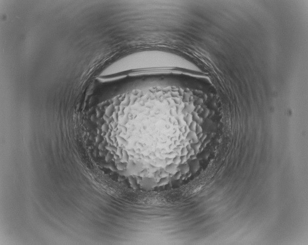 X0000060580503200511241345