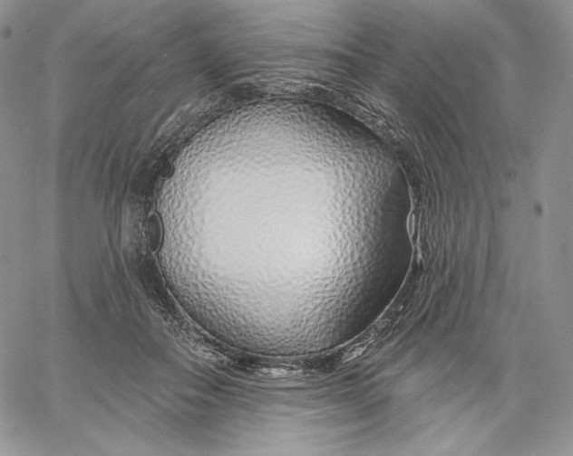 X0000060580506200511241344