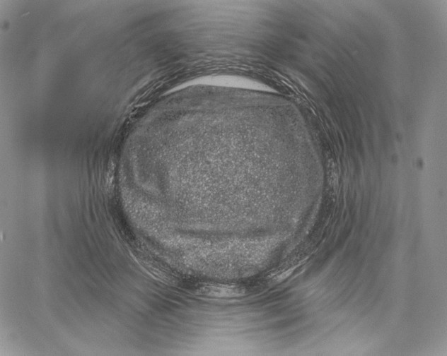 X0000060580507200511241344