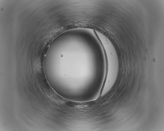 X0000060580508200511241344