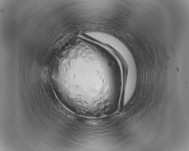 X0000060580511200511241344