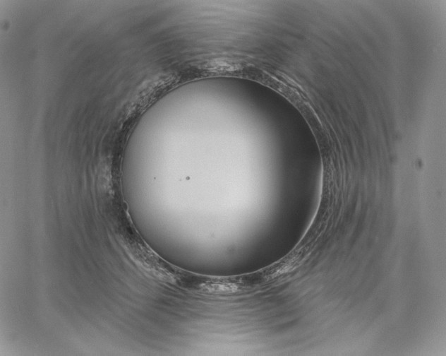 X0000060580512200511241344