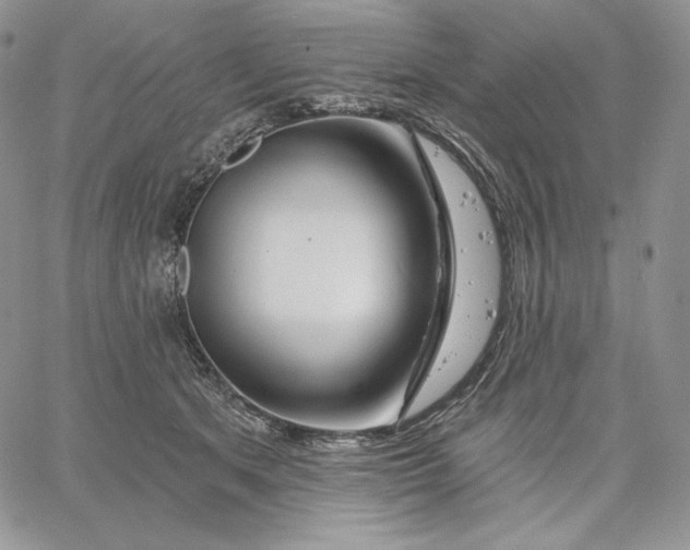 X0000060580513200511241344