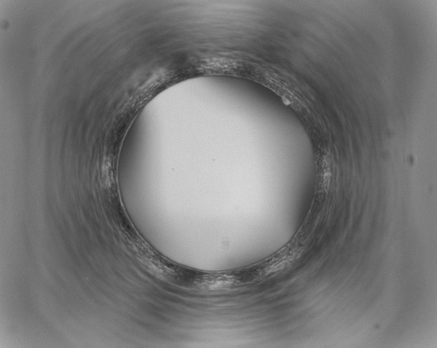 X0000060580514200511241344