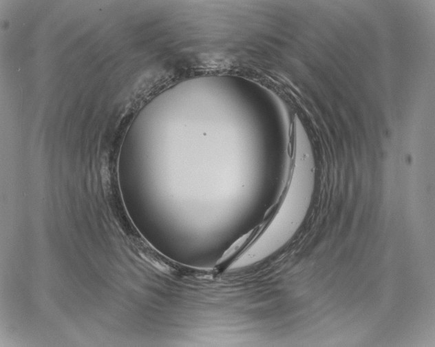 X0000060580516200511241344