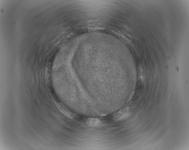 X0000060580519200511241344