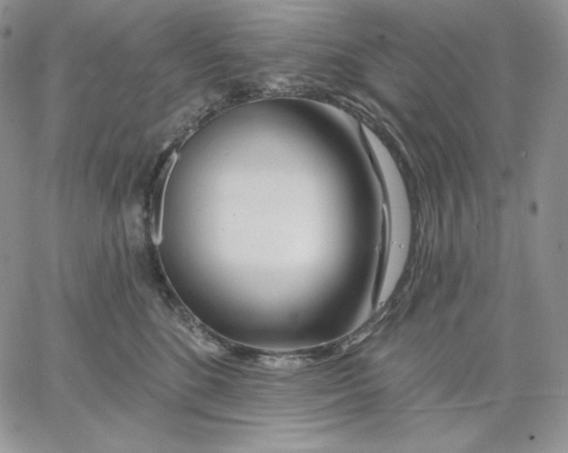 X0000060580520200511241344