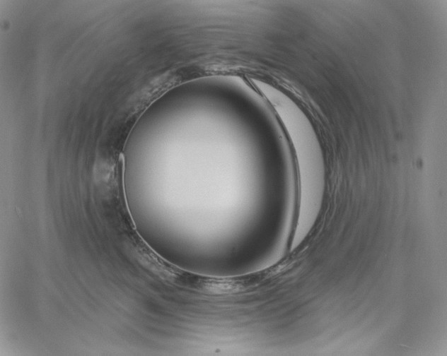 X0000060580521200511241344