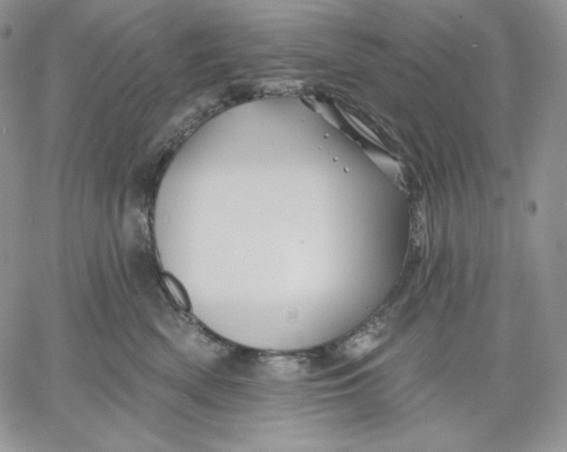 X0000060580522200511241344