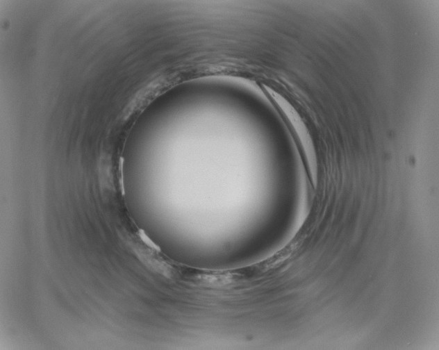 X0000060580524200511241344