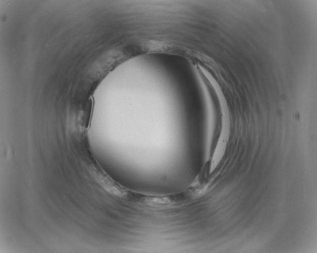 X0000060580525200511241344