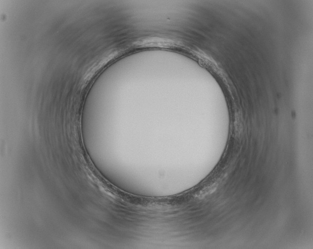 X0000060580529200511241343