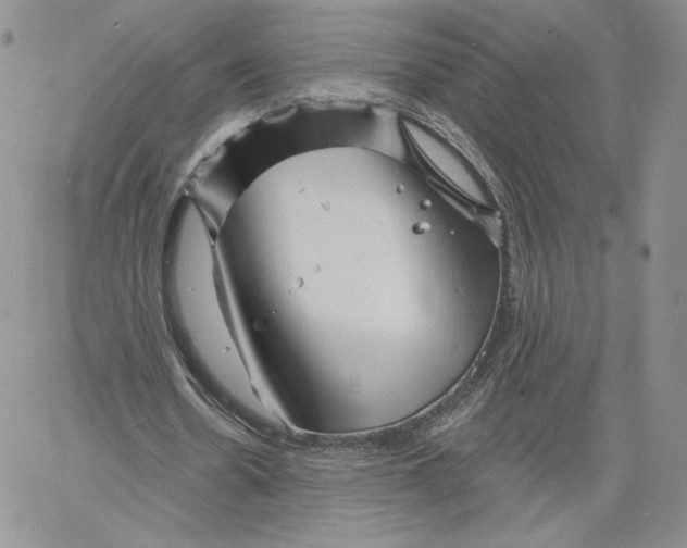 X0000060580530200511241343