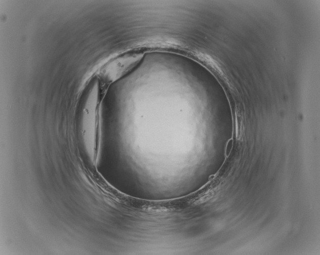 X0000060580531200511241343