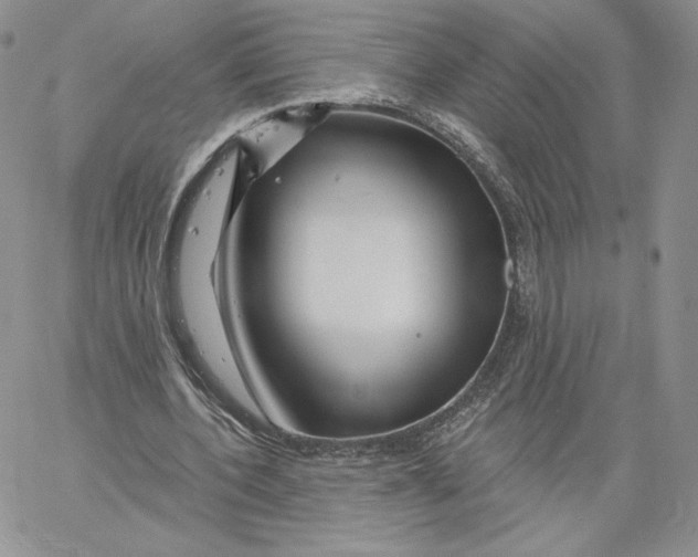 X0000060580532200511241343