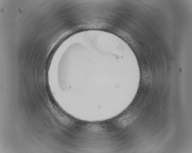 X0000060580534200511241343