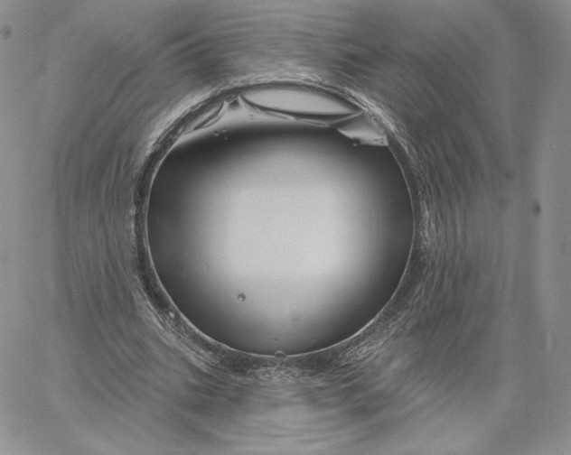 X0000060580535200511241343