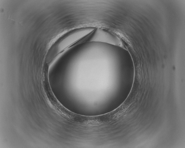 X0000060580536200511241343