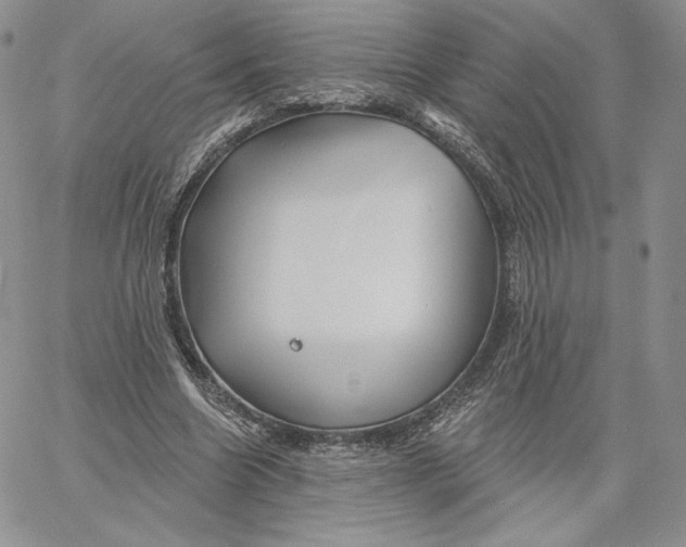 X0000060580538200511241343