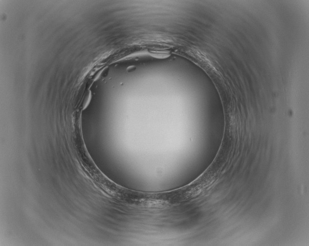 X0000060580539200511241343