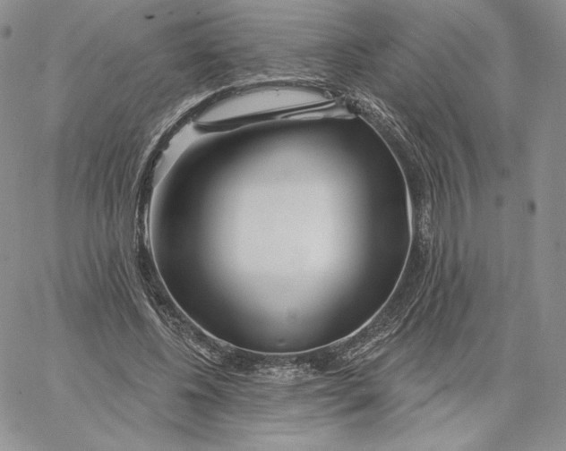 X0000060580540200511241344