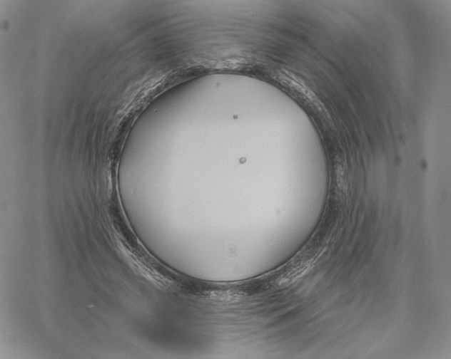 X0000060580541200511241344