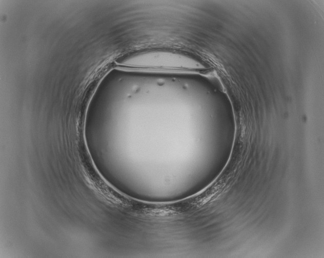 X0000060580542200511241344