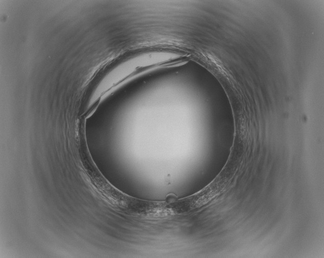 X0000060580543200511241344