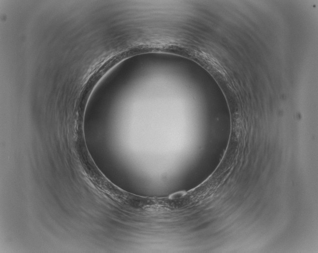 X0000060580544200511241344