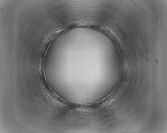 X0000060580545200511241344