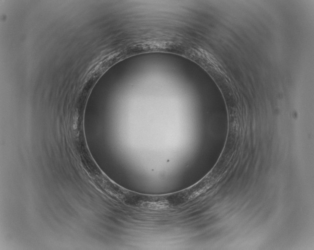 X0000060580548200511241344