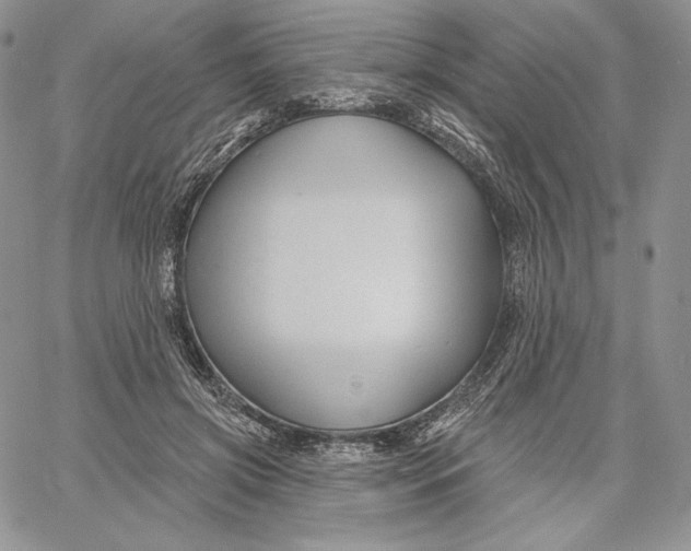 X0000060580549200511241344