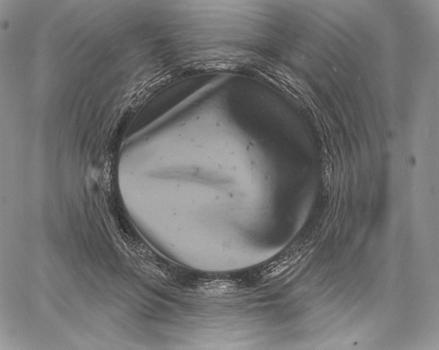 X0000060580551200511241344