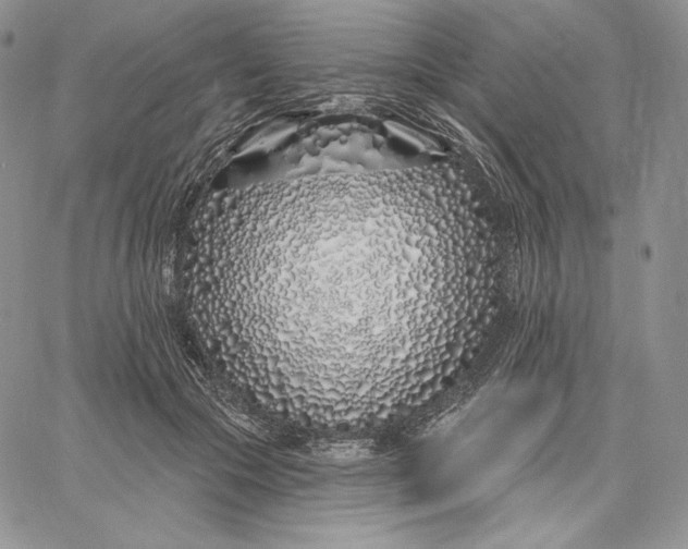 X0000060580553200511241344