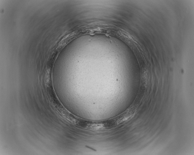 X0000060580554200511241344