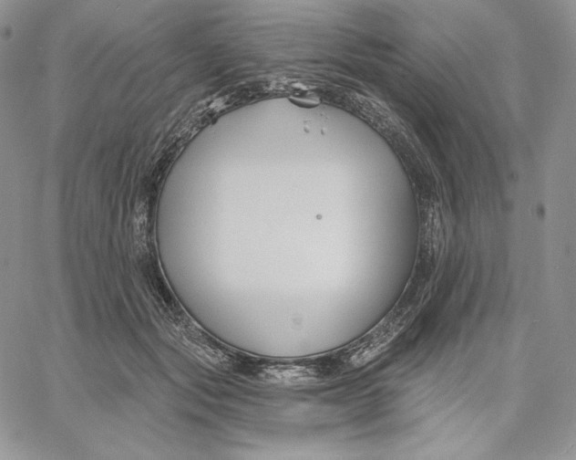 X0000060580557200511241344