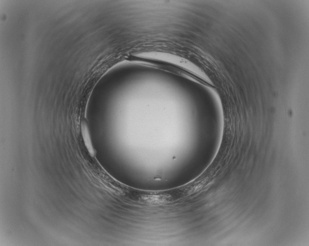 X0000060580558200511241344