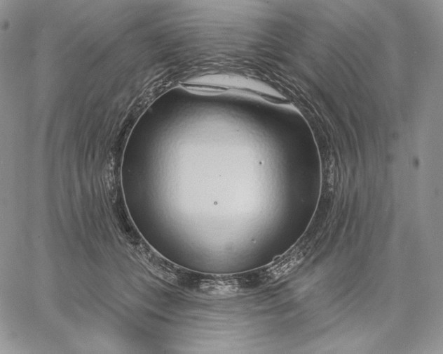 X0000060580559200511241344