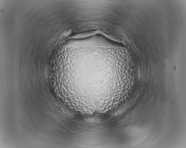 X0000060580561200511241344