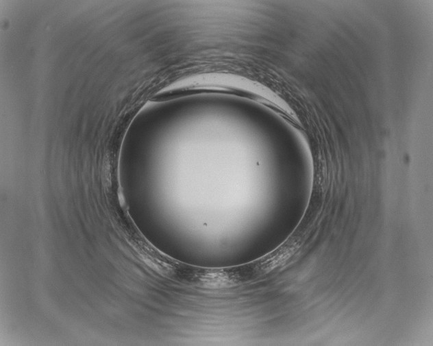 X0000060580562200511241344