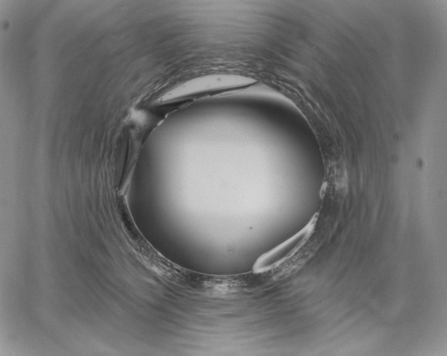 X0000060580564200511241344