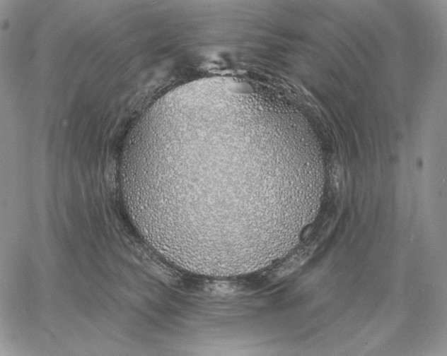 X0000060580565200511241344