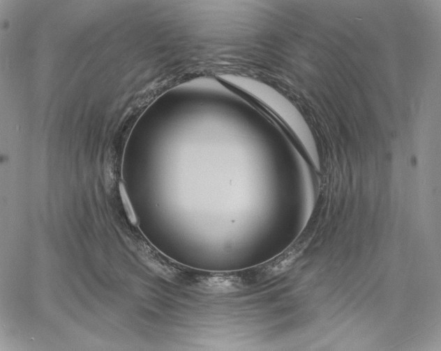 X0000060580566200511241344